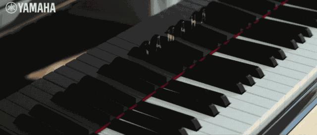 杭州雅马哈音乐中心成立时间,上海雅马哈音乐中心