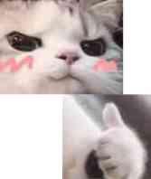 文字赚钱怎么操作,如何通过一篇文章快速赚钱