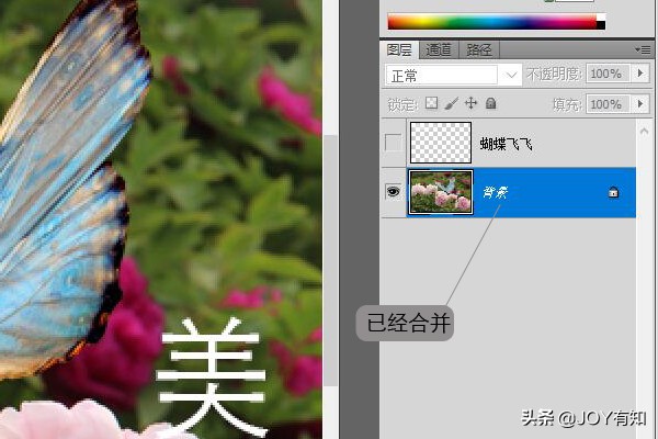 ps基础教程新手入门如何合并图层,ps图层向下合并和图层合并的区别