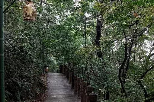 太全了,南京人少景美的免费公园