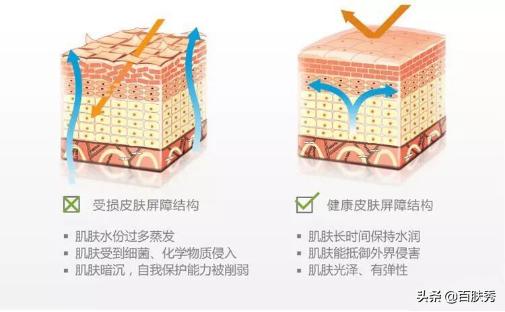 别再被所谓外油内干肤质忽悠了,适合外油内干肤质的温和护肤品