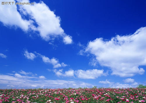 严紧细实，宁夏迎战新冠肺炎疫情大考——压实责任早隔离