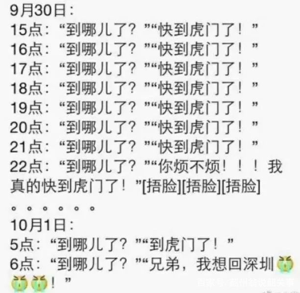 虎门二桥工程进度,虎门二桥施工现场