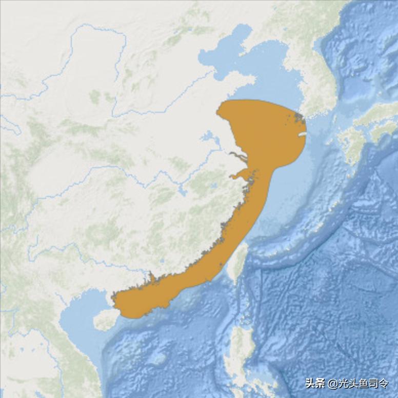 大黄鱼什么时候开始变贵的,大黄鱼为什么越来越便宜