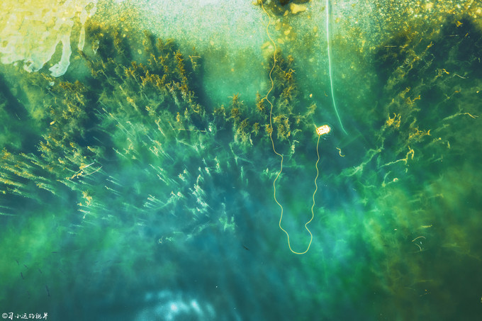 在高山湖泊边拍摄的风景照片湖底,绝美天池风光摄影照片