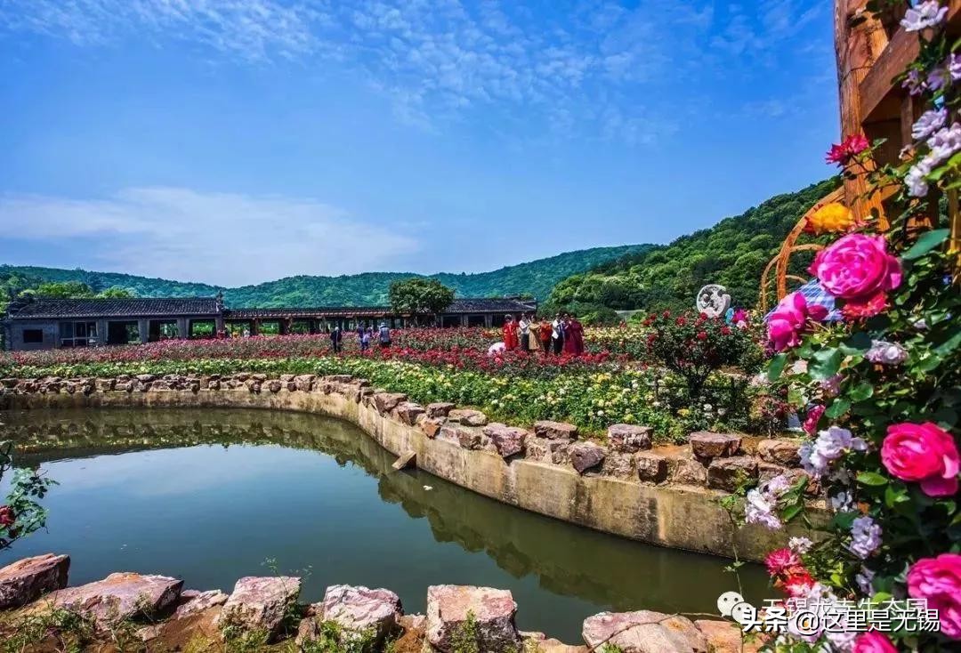 无锡秋游胜地最全推荐,无锡秋游自驾绝佳去处