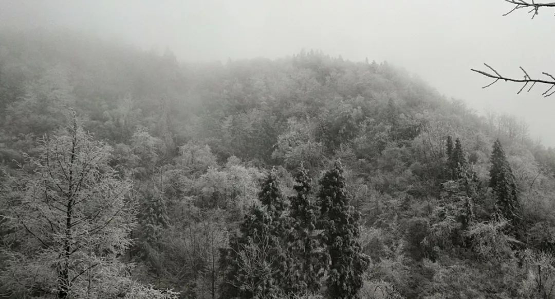 一下雪这些地方就美成了童话世界,有哪些下雪的地方值得去