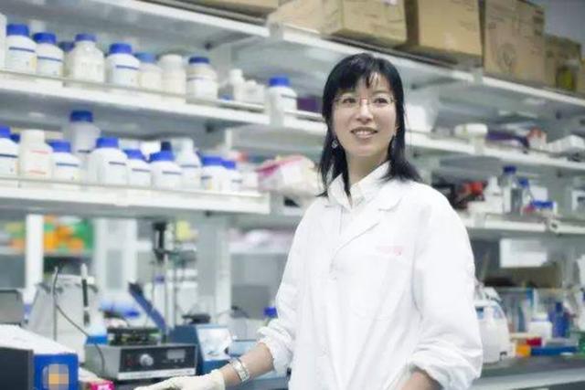 孩子失败不可怕但一定要努力成功,怎么和孩子解释失败是成功之母