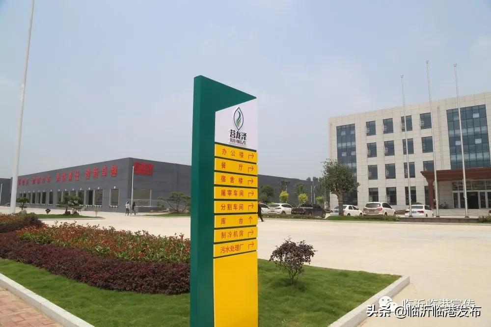 临港集团发展历程图,临港企业发展前景