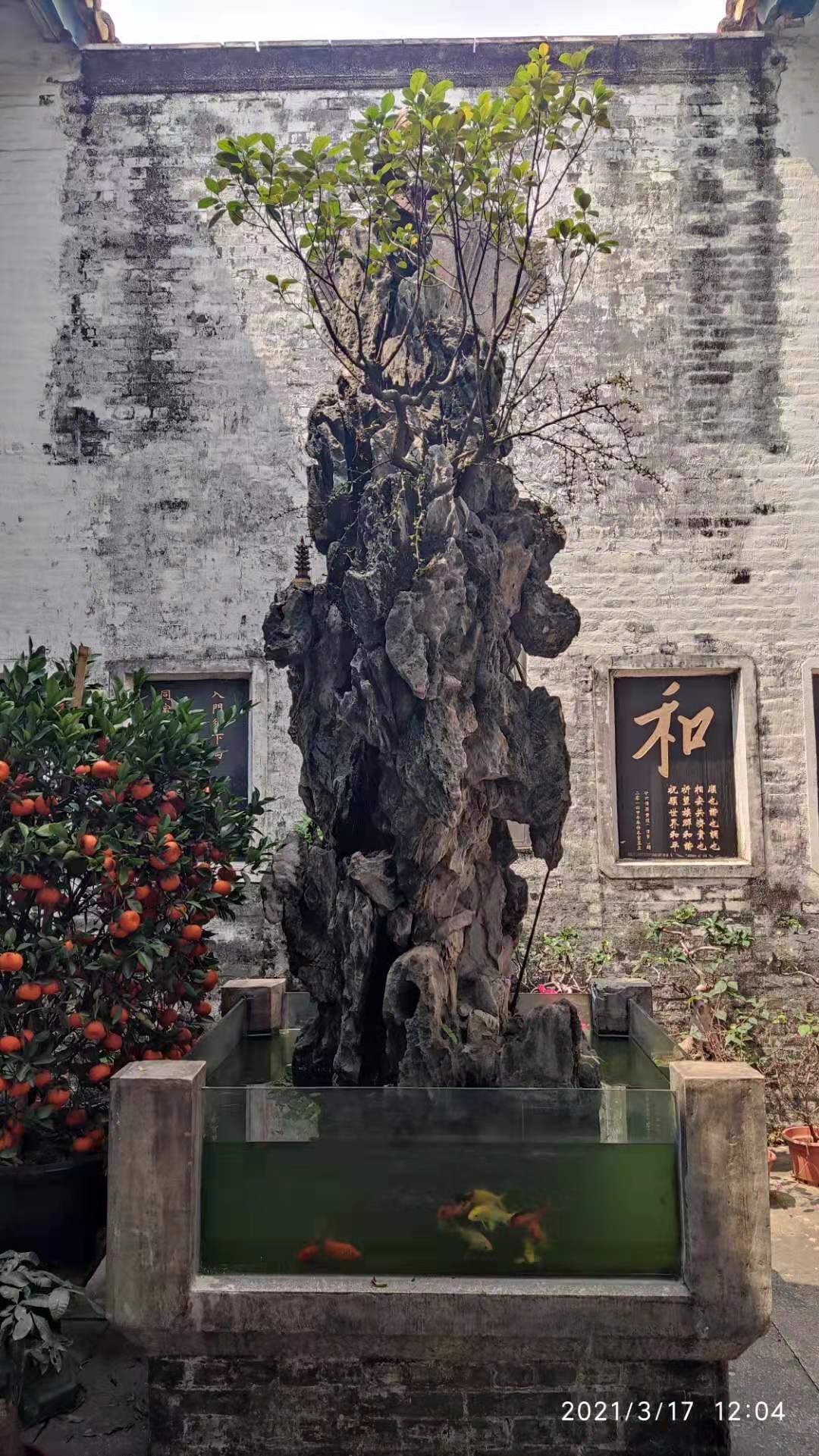 走访“平地黄”，睇大宗祠“花堂”