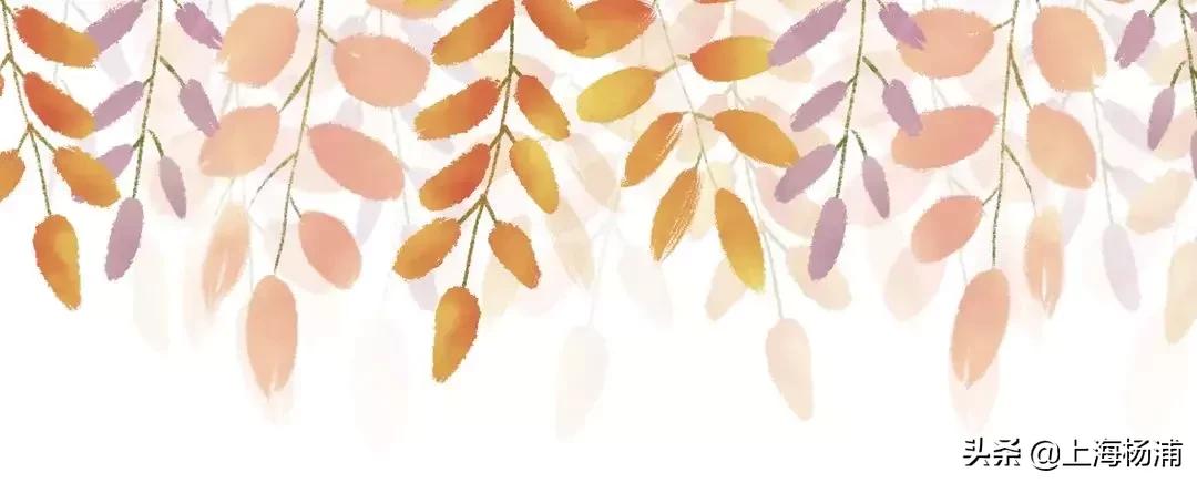 鍞湁椴滆姳闃冲厜鍜岀埍涓嶅彲杈滆礋,鍏遍潚妫灄鍏洯绉嬭壊缇庡緱浠や汉绐掓伅