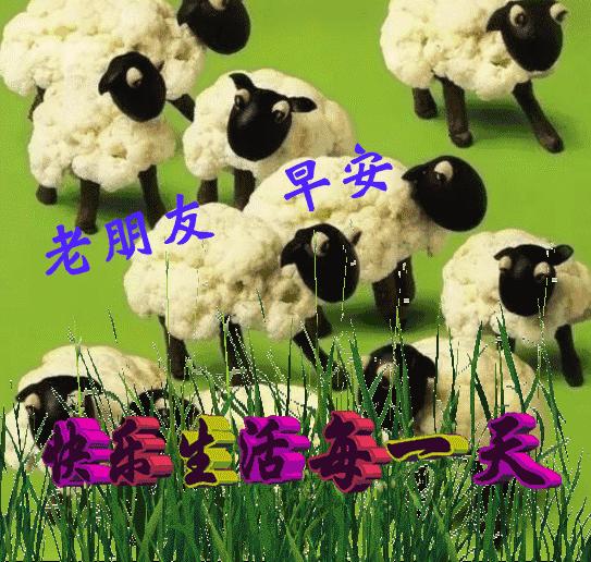 早安思念一个人的句子,有一种思念在岁月中沉淀