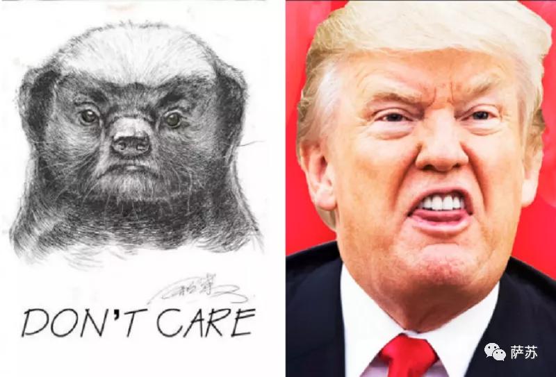 迈克尔杰克逊和特朗普是什么关系,迈克杰克逊和特朗普年轻的时候