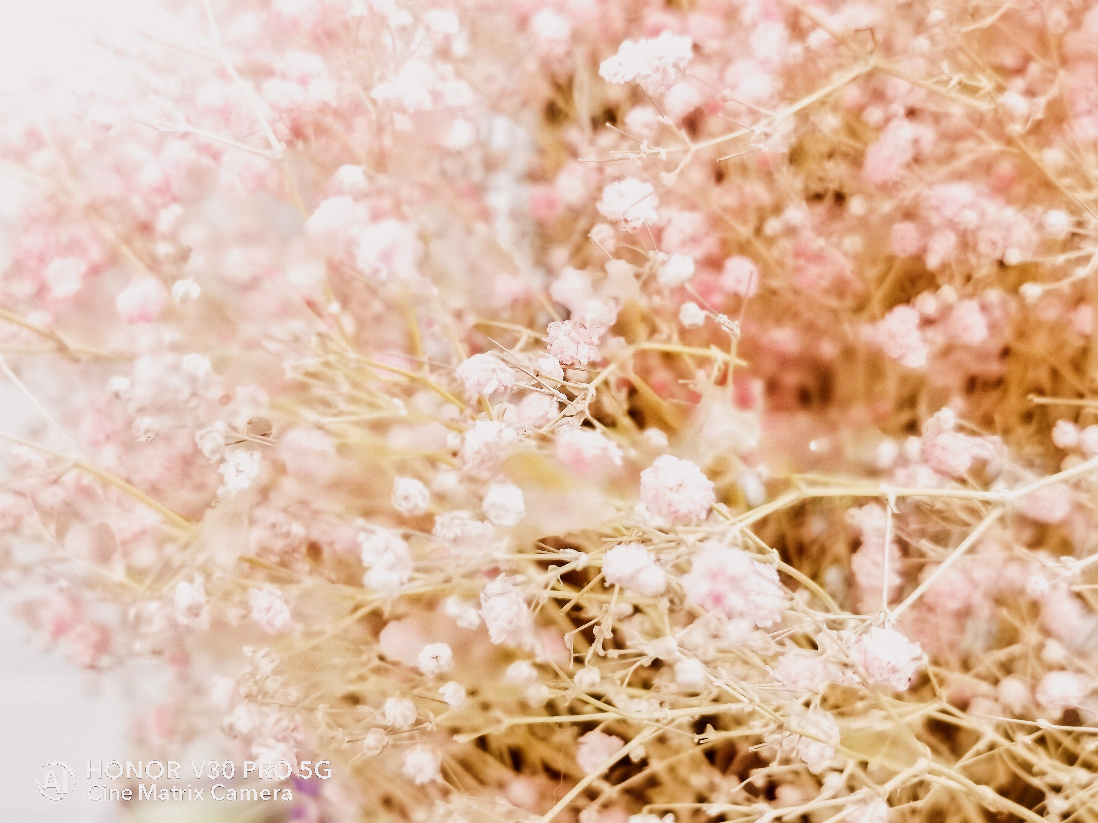 光荣v30pro相机各种最佳效果设置,光荣v30pro和光荣30pro对比拍照