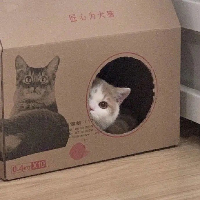 可爱沙雕句子,可爱沙雕句子文案