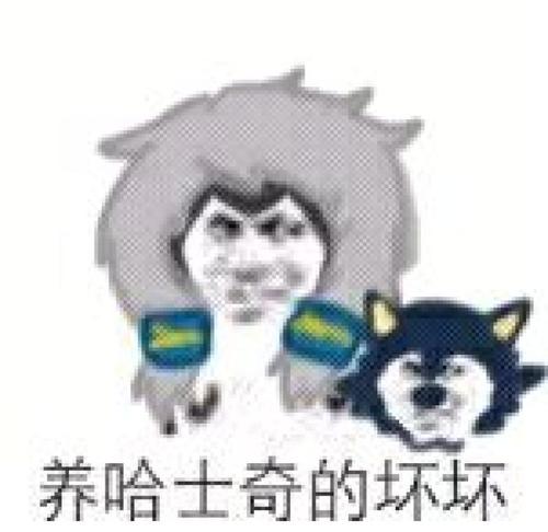 王者光荣kplag夺冠解说,王者光荣kplag被零封