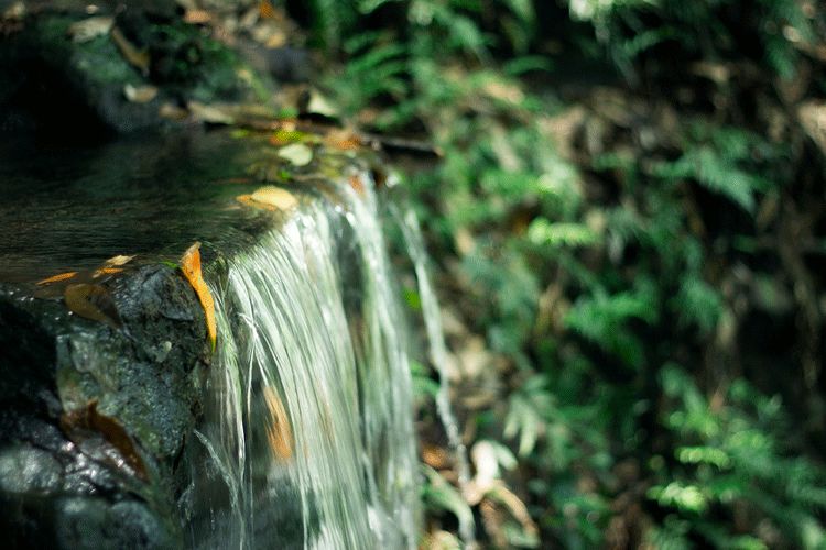 大暑的五种美,小暑的七种食物