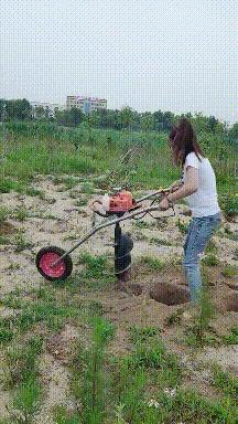 搞笑gif狗子我为这个家操碎了心,搞笑gif图片狗子都开始学坏了