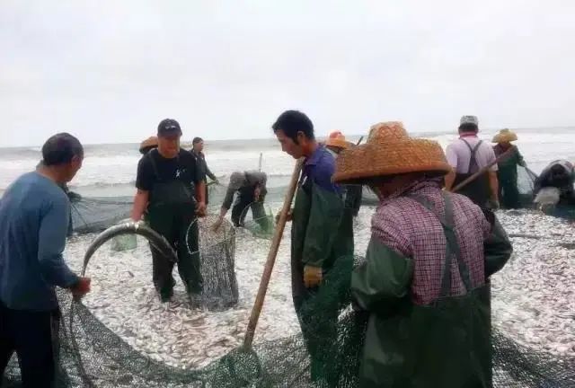 6成人去了这个半岛，都换了微信头像！广东“小希腊”要火了