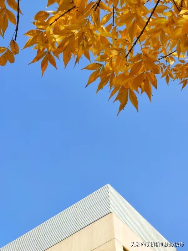 学拍照构图技术,学拍照需要掌握哪些技术