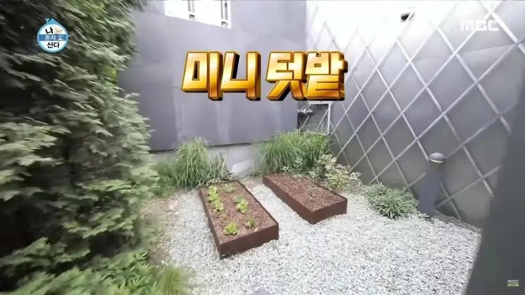 韩星刘亚仁58亿豪宅,韩星刘亚仁