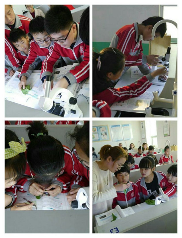 流曲初中部,流曲中学开学