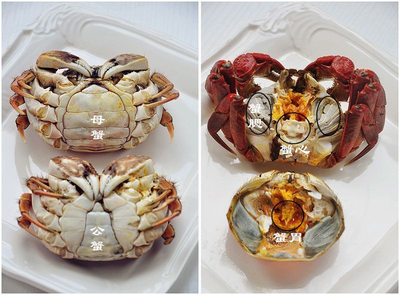 如何挑选肥美蟹,挑蟹最佳方法图解
