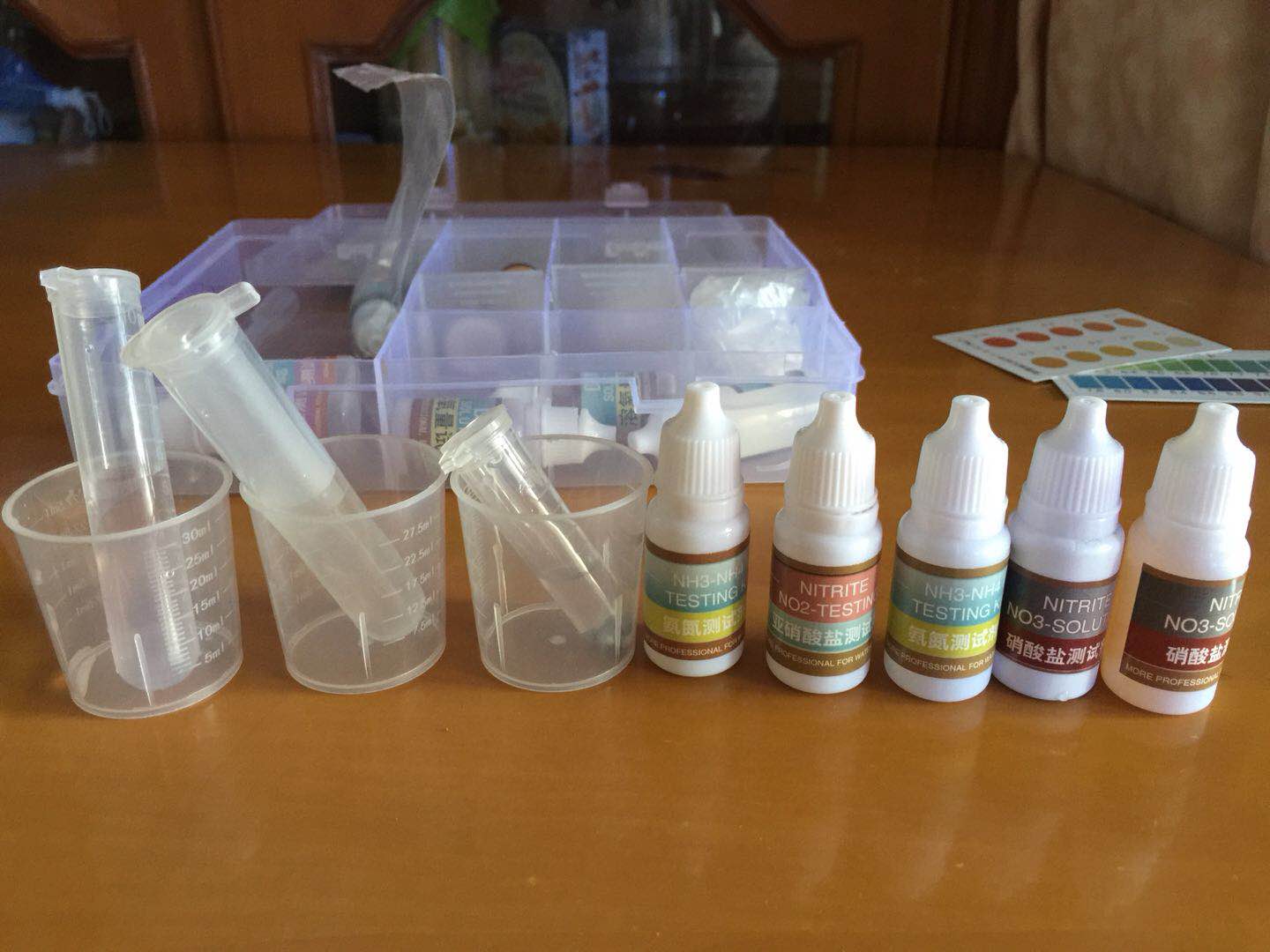 绿萝怎么给斗鱼造景,斗鱼与绿萝能一起养吗