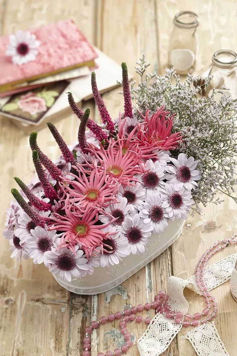 好看的切花菊推荐,好看好养的切花菊