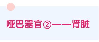 多年996的你，这三个「哑巴」器官还健康吗？