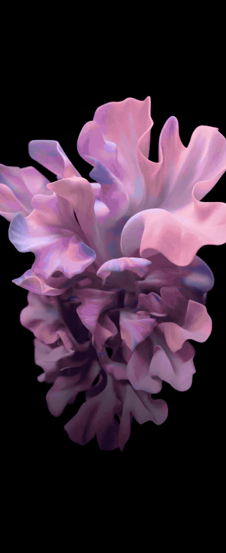 三星galaxyzflip3动态壁纸,三星zflip原装壁纸动态