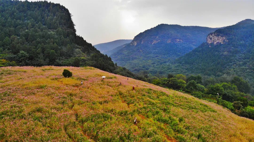 济南必去网红打卡地,济南网红打卡地经三纬三