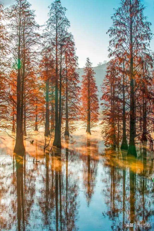 江苏最值得去的十个旅游地方,一到十二月江苏省小众旅游