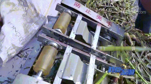 有了“王万能”发明的神器，竹笋剥皮轻松搞定