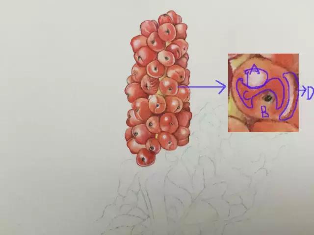 水彩密密麻麻的树叶怎么画,水彩画教程入门叶子