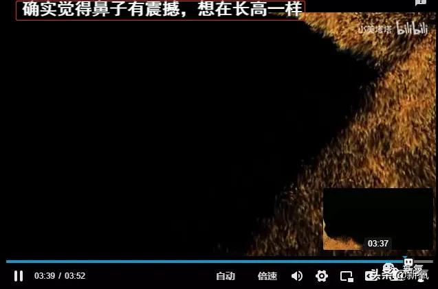 5分钟换头术视频,3分钟隆鼻是什么技术