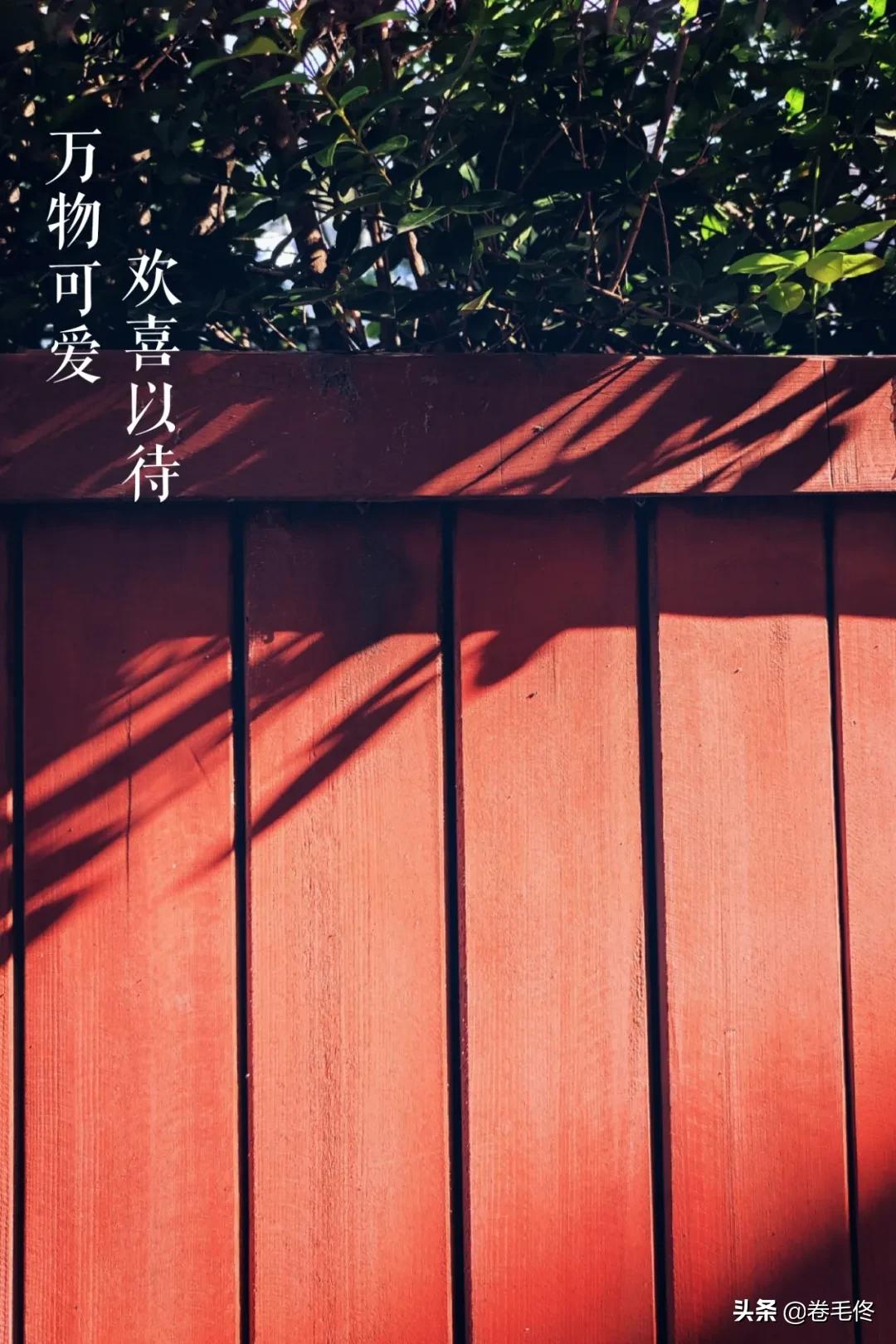 手机拍大片人像,如何拍手机照片最好看