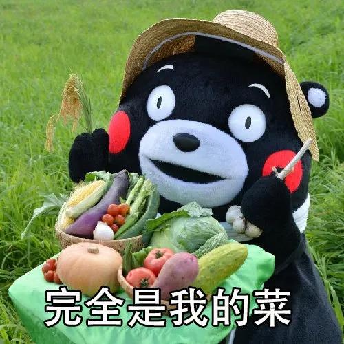 朗坤内部网球场,福利大放送活动方案