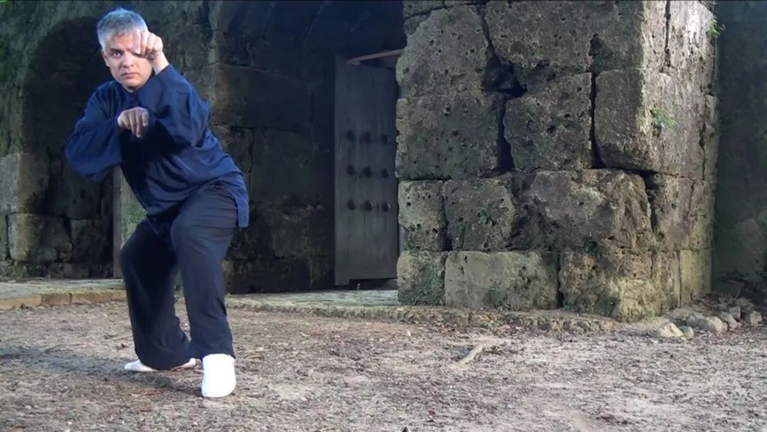 最强武术螳螂拳,中国传统武术拳法之螳螂拳