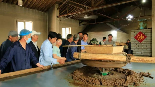 农村创业项目推荐游戏,农村创业项目推荐2023