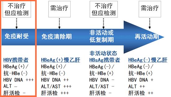 乙肝病毒携带者过早的抗病毒治疗,乙肝病毒携带者吃什么抗病毒的药