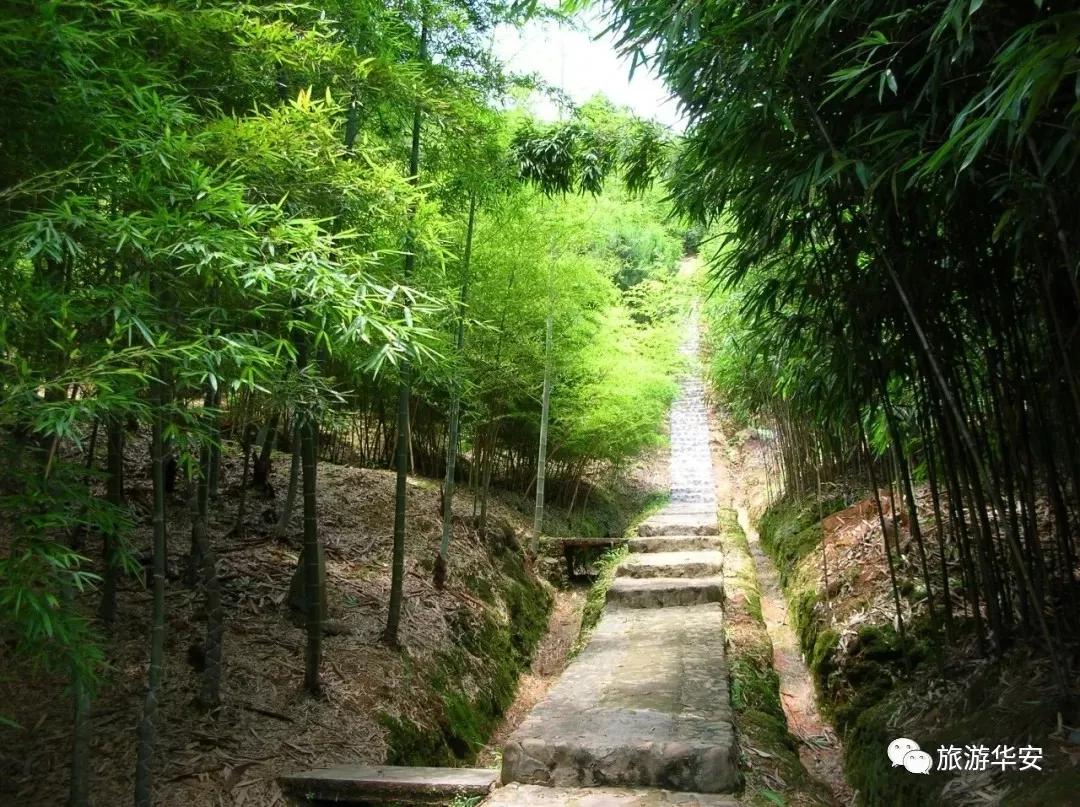 春风十里不如你，我在华安等着您