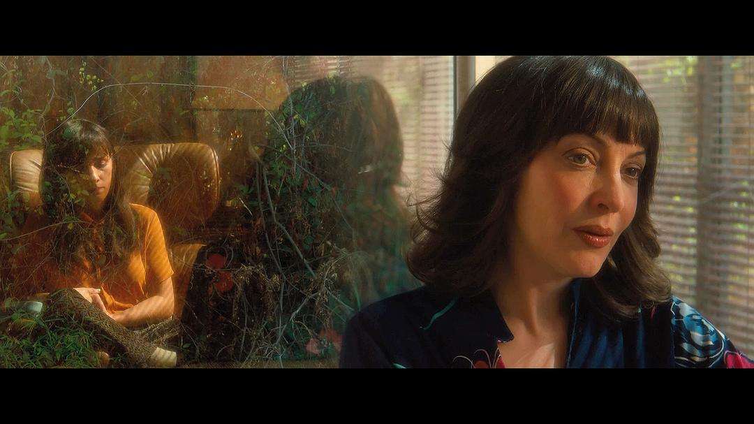 根据真实故事改编的美国恐怖电影,恐怖电影真实改编