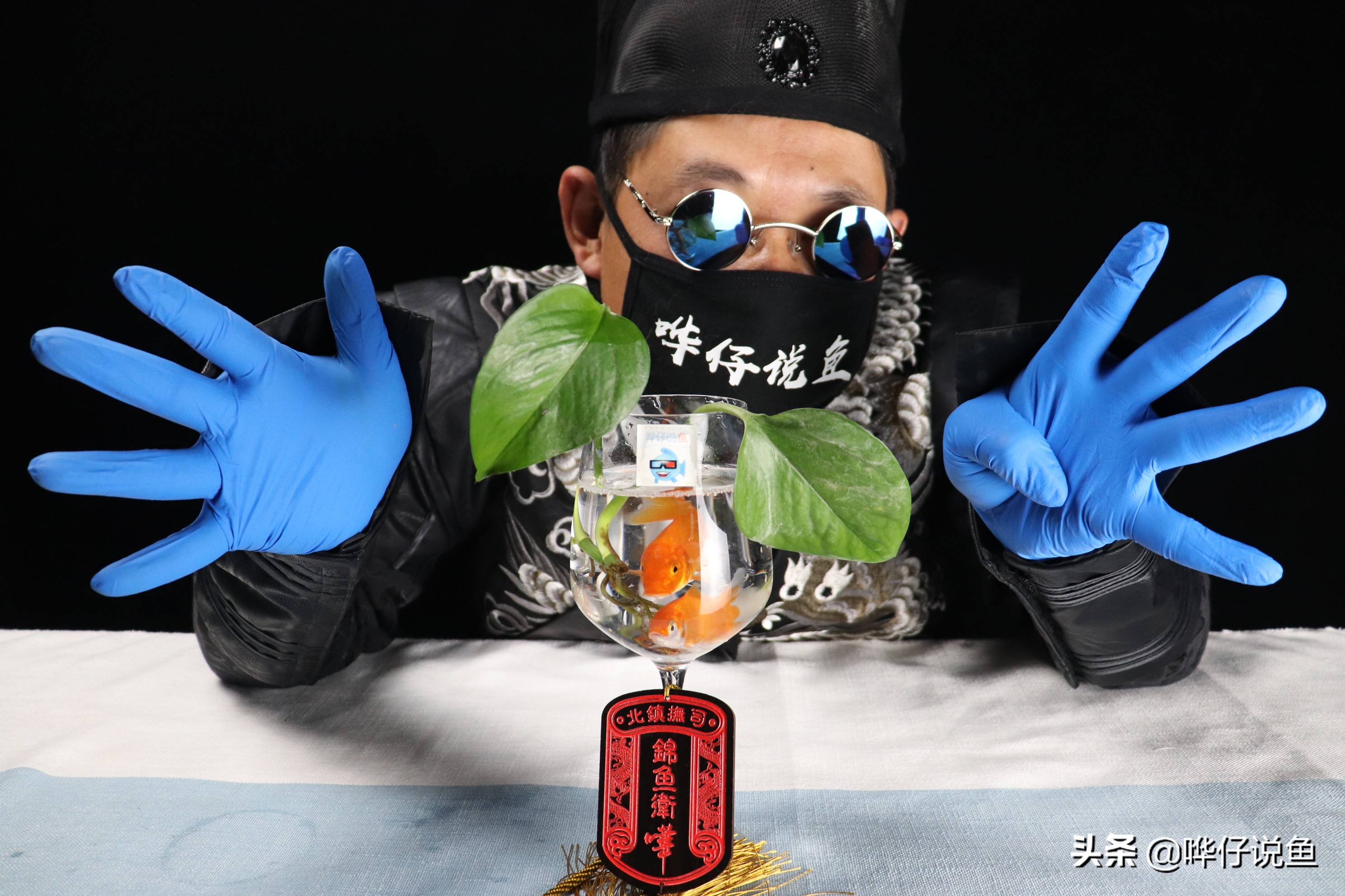 什么是一剑九雕养鱼法？一边偷懒一边养观赏鱼，其实是有套路的