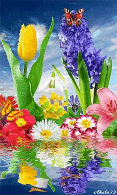 中老年人搞笑三字经,老年人三字经全集