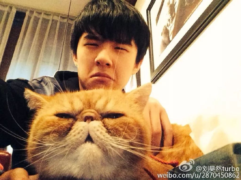 刘昊然和彭于晏有什么区别,刘昊然彭于晏最新消息