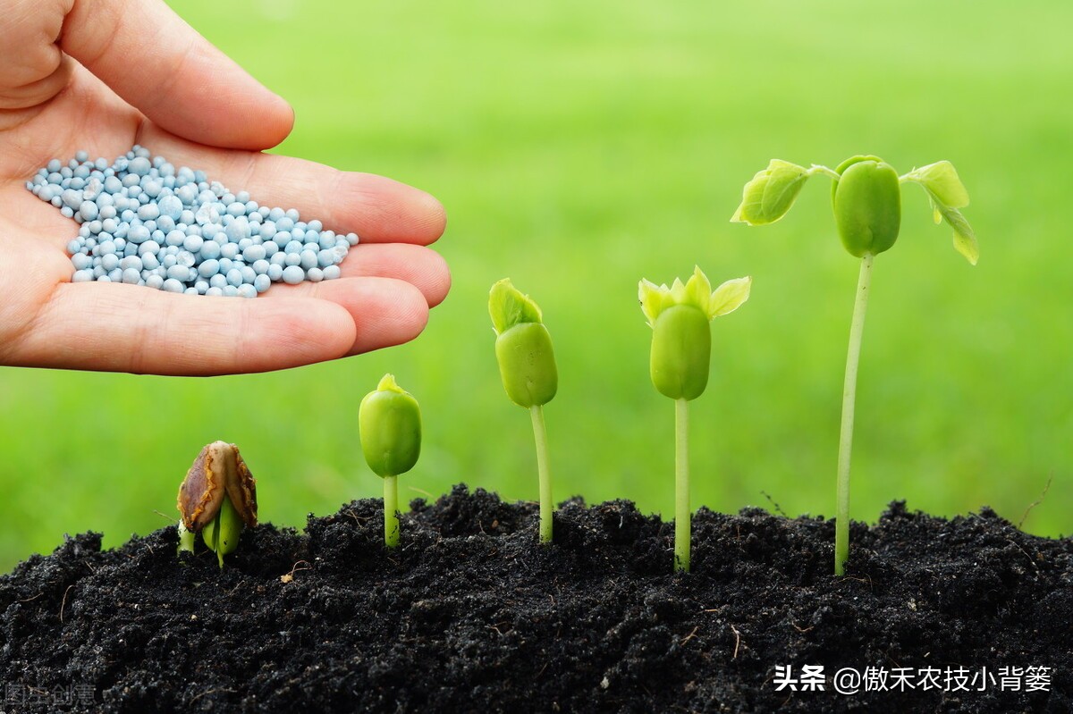 微生物菌肥什么品牌效果好,微生物菌肥效果