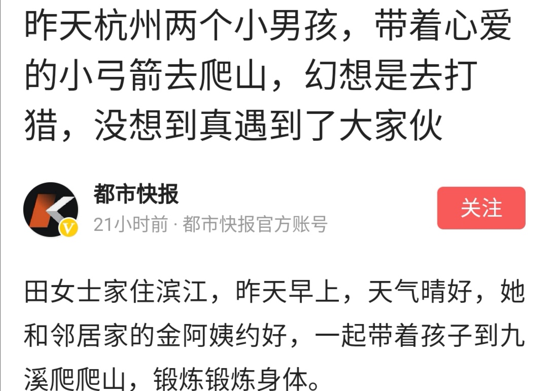 男子上山放羊遇到300斤野猪在哪里,山上发现800斤野猪