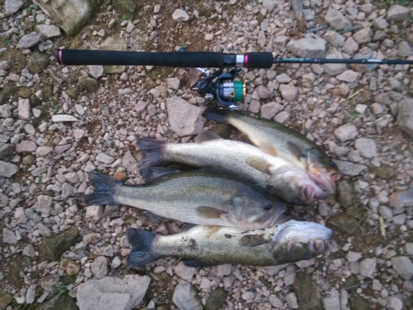 路亚新手入门教程纺车轮钓鱼,路亚钓鱼水滴轮新手视频教学