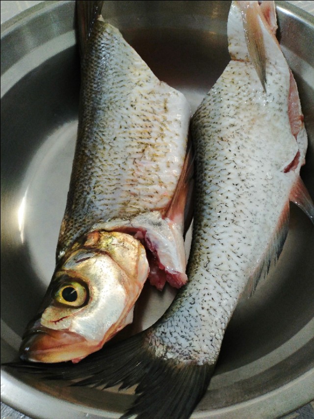 最好的刀鱼做法,长江刀鱼肉质鲜美